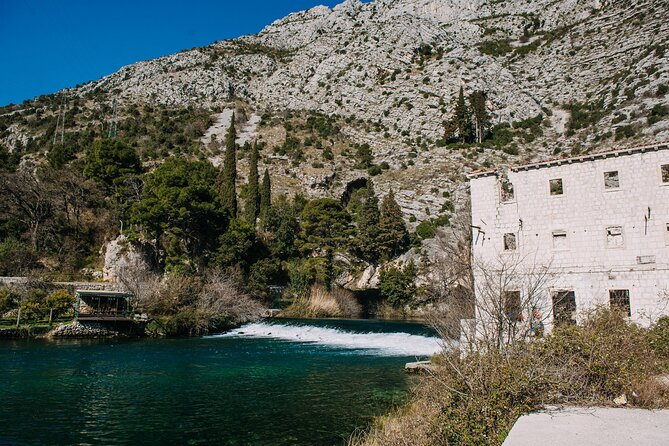 Private Panorama Buggy Tour (Half Day) - The Sum Up