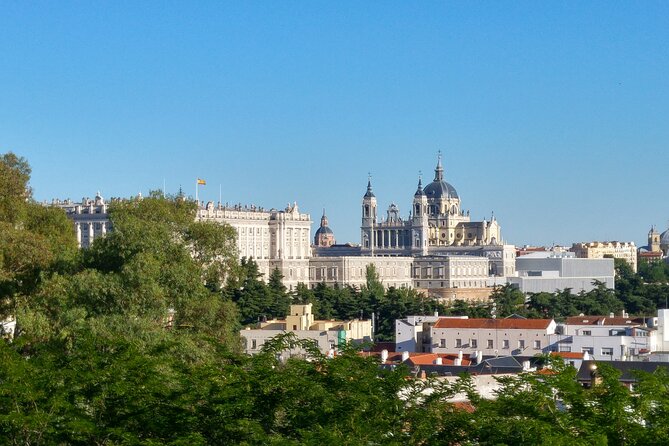 Private Panoramic Madrid Tour With Flamenco Show & Dinner - Private Tour Guide