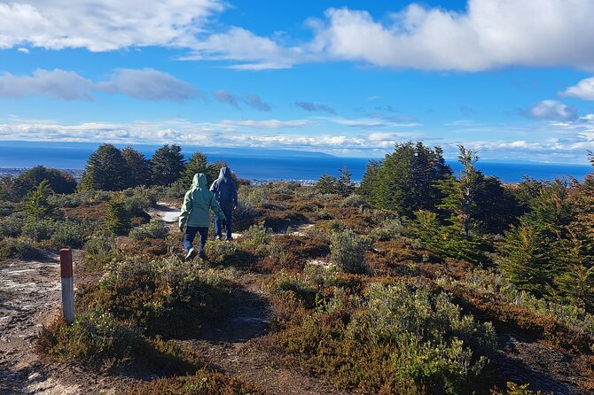 Private Patagonian Forest Hike in Punta Arenas: 4 Hour - Experience Details