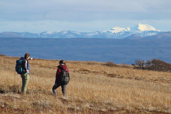 Private Patagonian Forest Hike in Punta Arenas: 6 Hour - Cancellation Policy Details