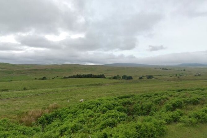 Private Pen Y Fan & Brecon Beacons Sightseeing Tour - Pickup Information
