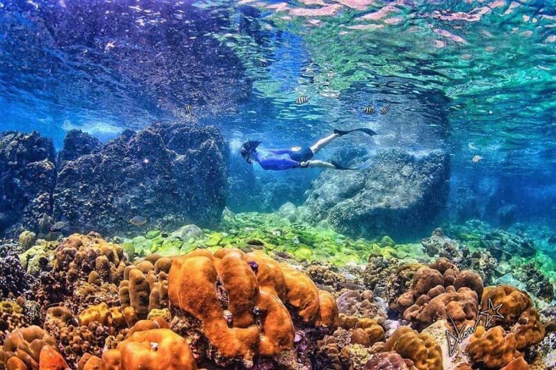 Private Phi Phi & Khai Islands Snorkeling Tour by Speedboat - Who Is This Tour Best For?