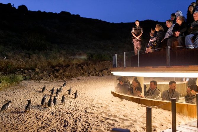 Private Phillip Island Day Trip From Melbourne Including Penguin Parade Premium Viewing - Pricing
