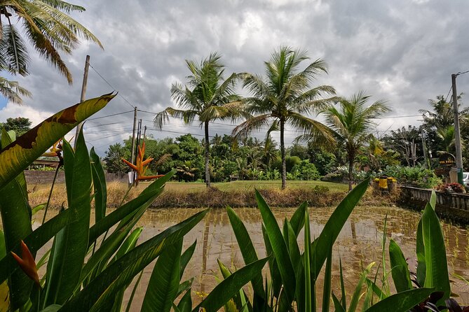 Private Photo and Video Session in Bali - Pricing and Guarantee