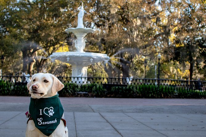 Private Photoshoot in Savannah, GA - Whats Included