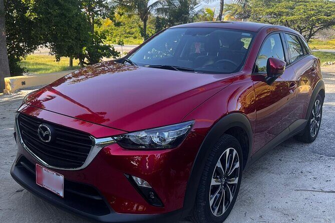 Private Pick Up or Drop Off in Aruba - Private Pick Up or Drop Off in Aruba: A Complete Review