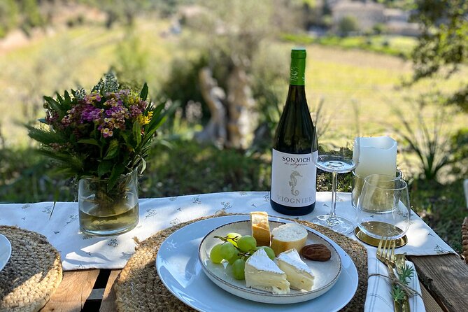 Private Picnic Experience With Winery Tour & Tasting in Mallorca - Age Restrictions for Alcoholic Beverages