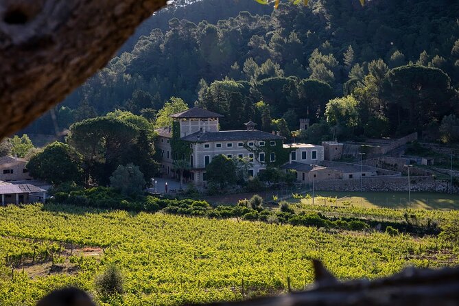 Private Picnic Experience With Winery Tour & Tasting in Mallorca - Cancellation Policy