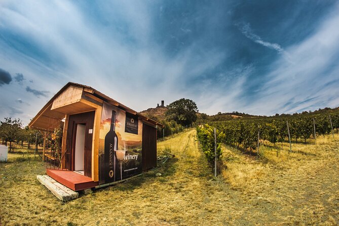 Private PICNIC in Bohemian Vineyards and Wine Tasting 4WD Tour - What To Expect