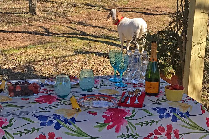 Private Picnic With Goats in Lexington - Pricing and Reservation Details