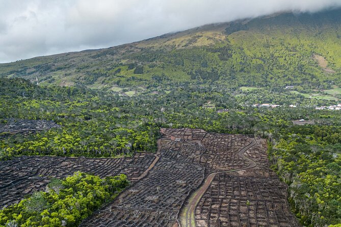 Private Pico Wine Tour - Expert Local Guides