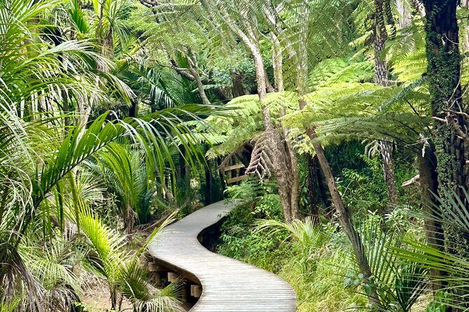 Private Piha Beach, Rainforest Adventure & Mt. Eden with Guide - A Detailed Look at the Tour Experience