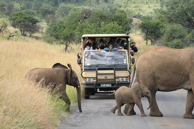 Private Pilanesberg Closed Drive Safari - Good To Know