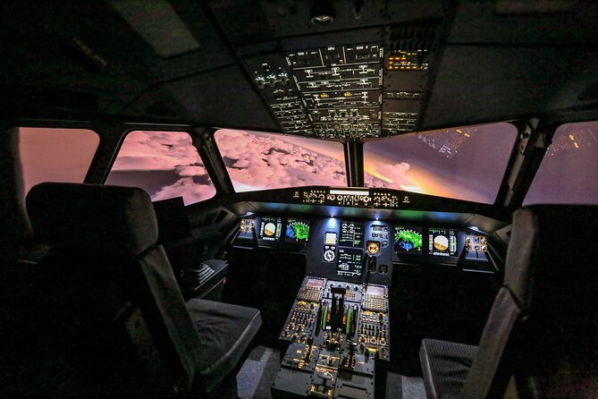 Private Pilotage of a Flight Simulator in Paris - Accessibility Information