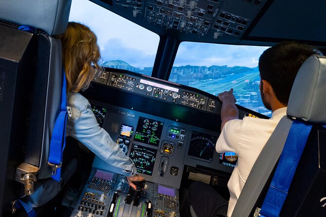 Private Pilotage of a Flight Simulator in Paris - Common Questions