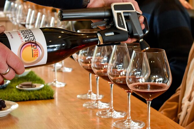 Private Pinot Noir Wine Tasting & Platter in Adelaide Hills - Included Experiences and Amenities