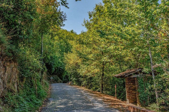 Private Piódão and Serra Do Açor Van Tour - Booking Details and Pricing