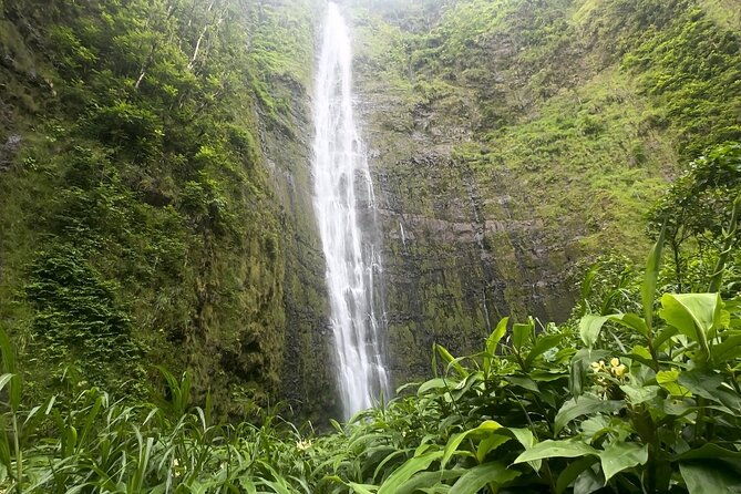 Private Pipiwai Trail Maui Open-Air Jeep Tour - Exploring Maui’s Wild Side: What You Can Expect