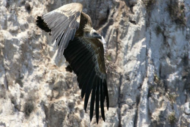 Private Plavnik Island Half-Day Boat Trip With Capt. Bobo - Reviews