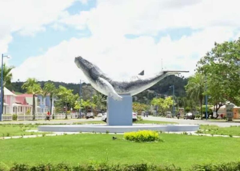 Private: Playa Rincón Samaná Levantado Full-Day Excursion - Who Would Love This Tour?