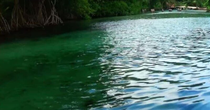 Private: Playa Rincón Samaná Levantado Full-Day Excursion - FAQs