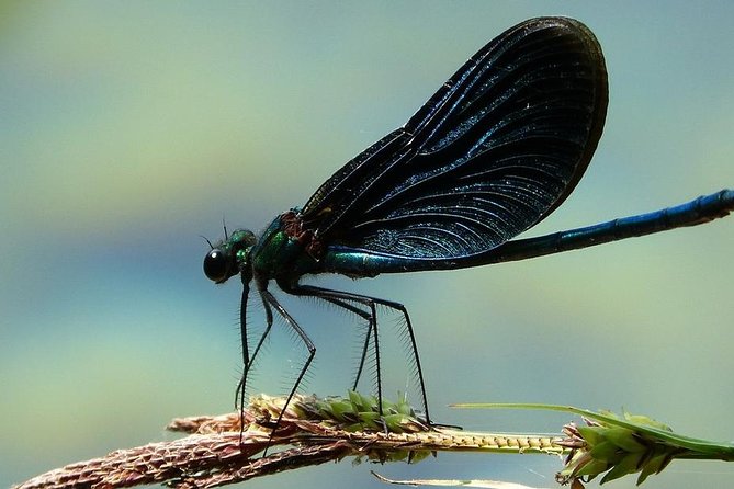 Private Plitvice Lakes - a Day In Magicland From Split - Cancellation Policy