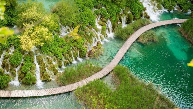 Private Plitvice Lakes and Zadar Tour with Lunch from Split - Discovering Plitvice Lakes: Nature’s Masterpiece