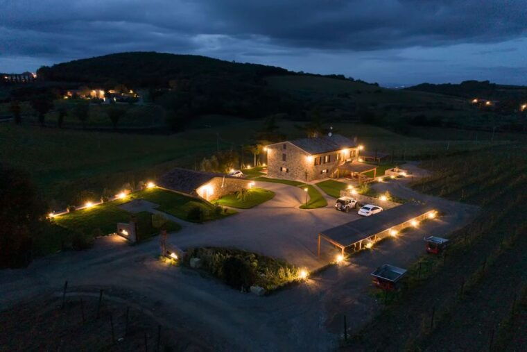 Private Plus Wine Tasting Tour - How the Tour Works: Practical Details  