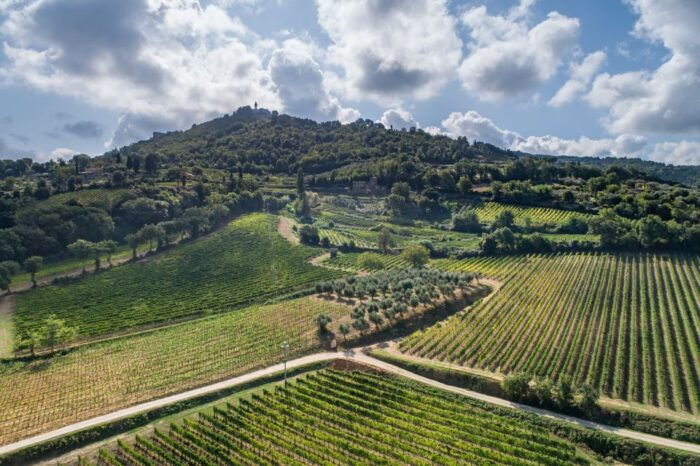 Private Plus Wine Tasting Tour - Frequently Asked Questions  