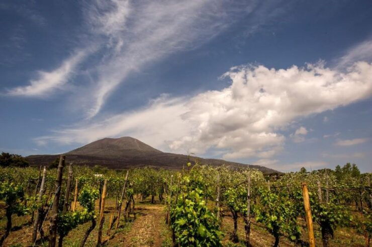 Private Pompei Tour - Booking Information