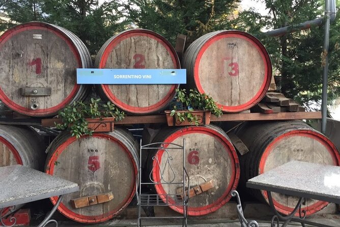 Private Pompeii and Herculaneum Day Tour - Tour Details