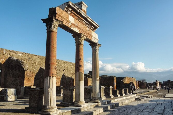 Private Pompeii Day Trip From Rome by Fast Train to Naples and Car Service - Professional Tour Guide for a Personalized Experience