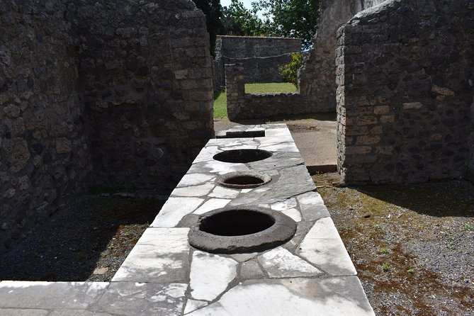 Private Pompeii & Herculaneum Archaeological Sites Tour From Rome - Tour Overview