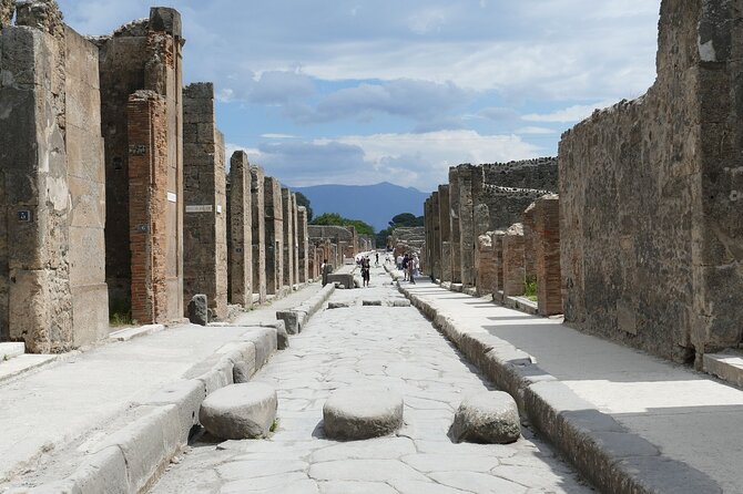 Private Pompeii & Naples by Train From Rome - Itinerary Highlights