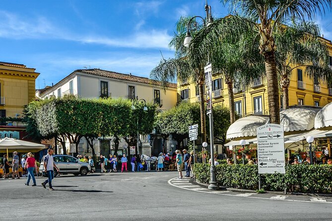 Private Pompeii, Sorrento and Positano Tour - Booking Information