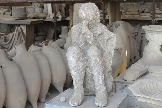 Private Pompeii Tour From Sorrento With Pick up and Drop off - Tour Details