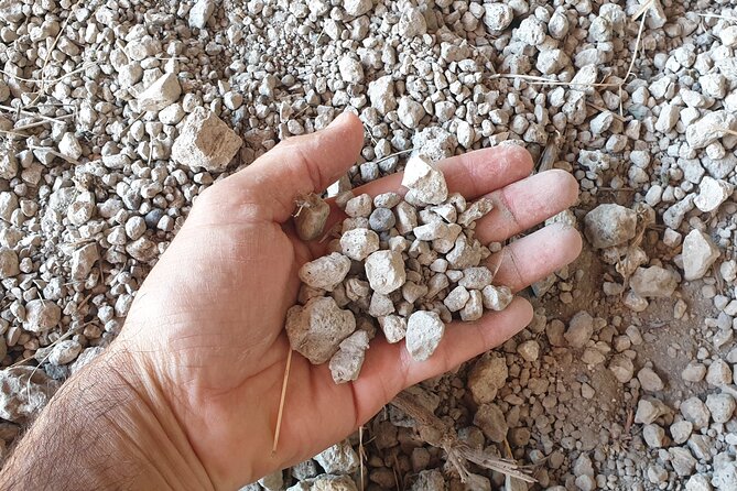 Private Pompeii Tour With an Archaeologist and Wine Experience on Mt Vesuvius - Sample Menu