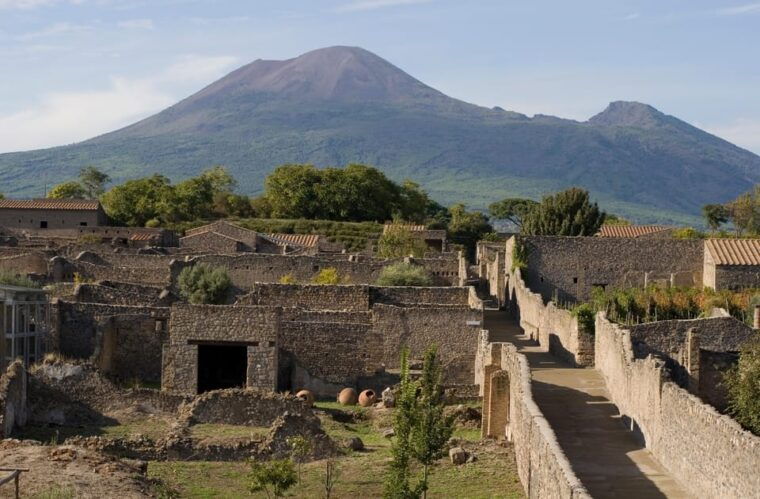 Private Pompeii & Vesuvius Wine Tasting Tour - FAQ