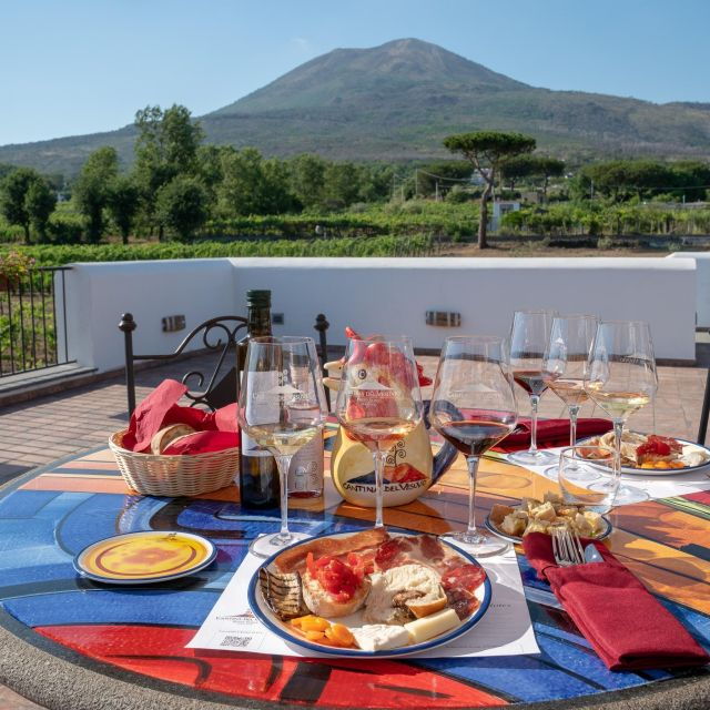 Private Pompeii & Vesuvius Wine Tasting Tour - Itinerary Overview