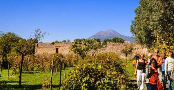 Private Pompeii & Vesuvius Wine Tasting Tour - Directions for Booking