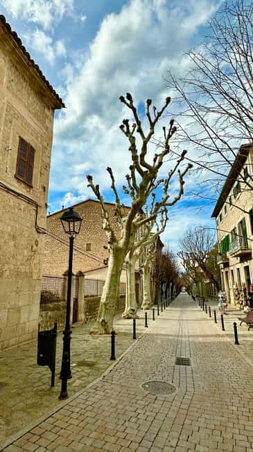 PRIVATE Port de Sóller, Sóller, and Sa Foradada Sunset Tour - Good To Know