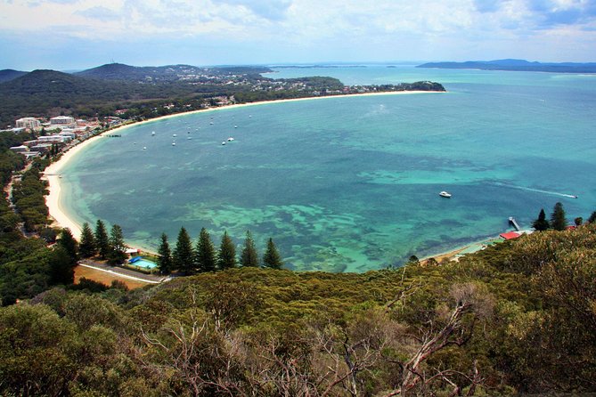 Private Port Stephens Day Trip From Sydney Incl Dolphin Cruise - Traveler Reviews and Ratings