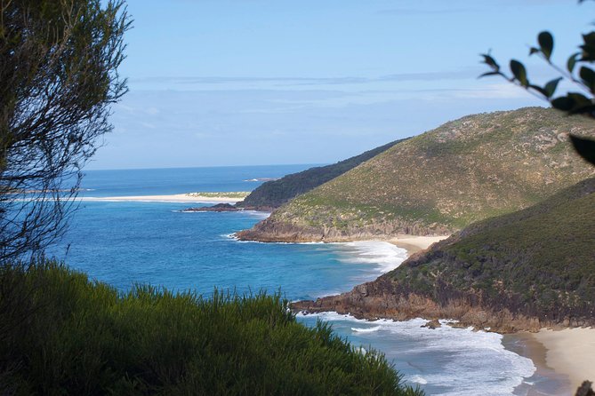 Private Port Stephens Day Trip From Sydney Incl Dolphin Cruise - Common Questions