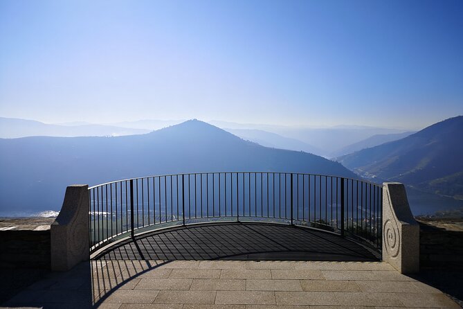 Private Porto to Douro Valley Wine Tour + Lunch and Boat Cruise - Reviews and Ratings