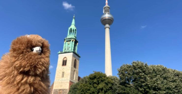 Private Potsdam Highlights: Half-Day Guided Tour Experience - Itinerary Highlights