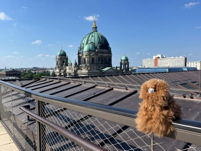 Private Potsdam Highlights: Half-Day Guided Tour Experience - Experience Potsdams Charm