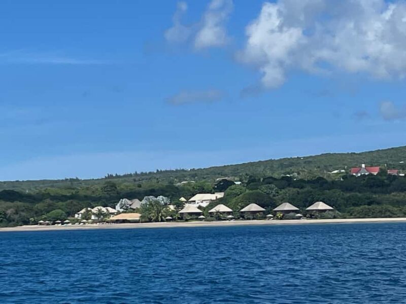 PRIVATE POWER CATAMARAN - Authentic Insights from Past Guests