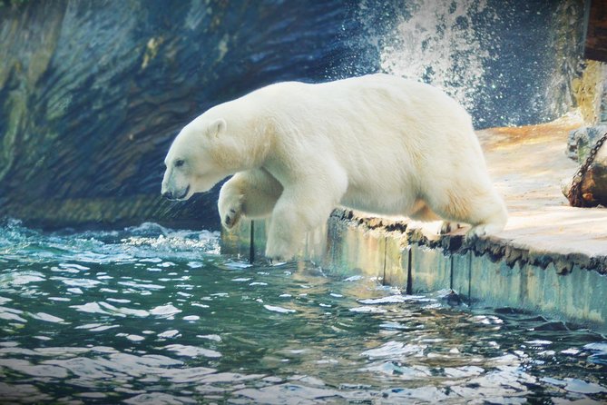 Private Prague Tours for Families With a Local, 100% Personalized - Booking and Payment Options