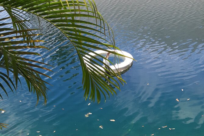 Private Pre or Post Cruise Magic City Tours With Transfers - Tour Overview