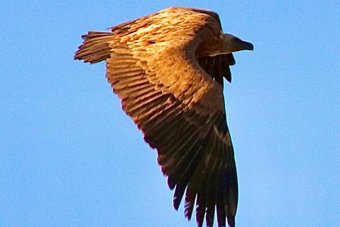 Private Prehistoric and Ancient Tour in Strait Natural Park - Cancellation Policy Details